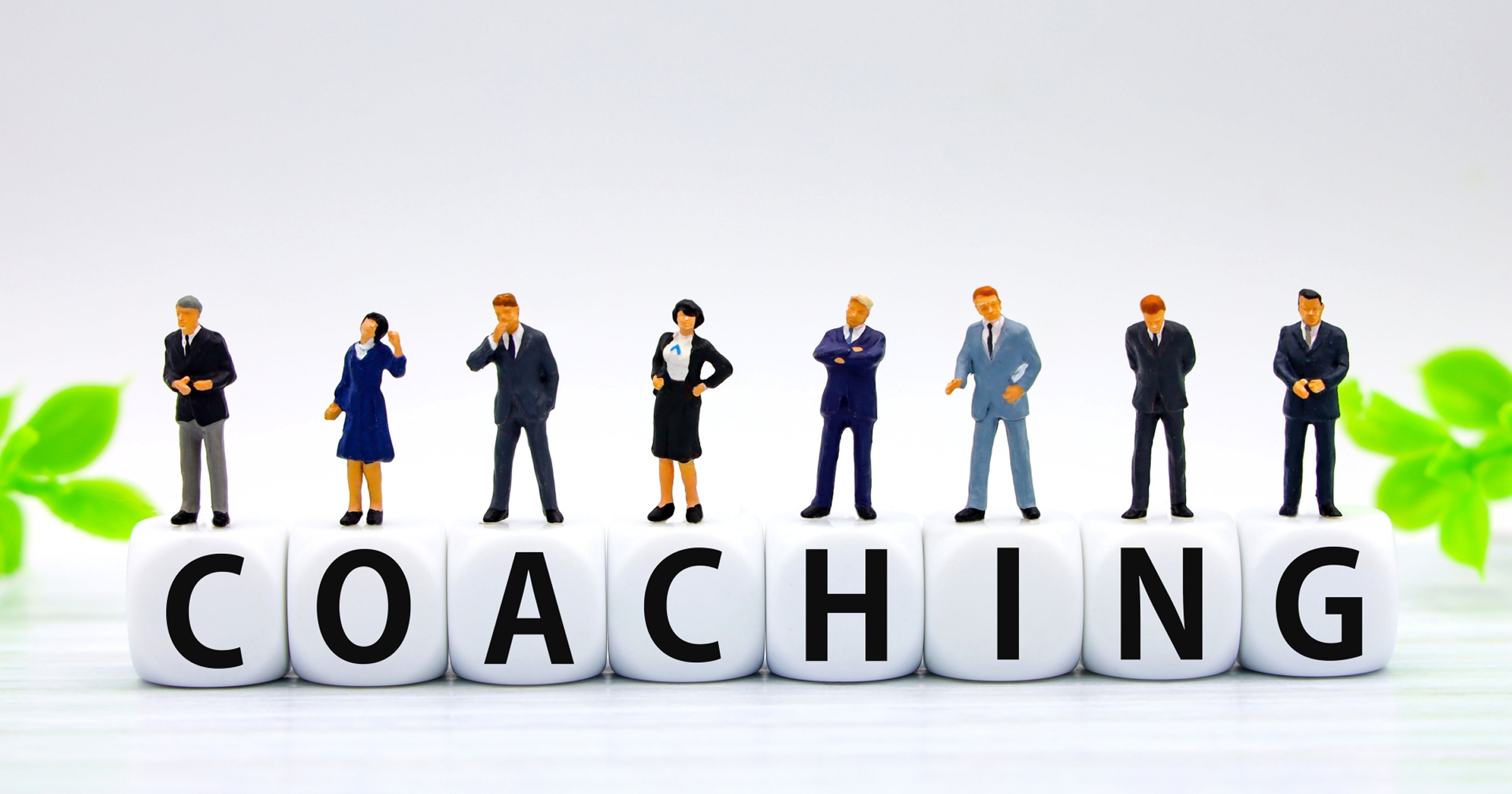 コーチング研修